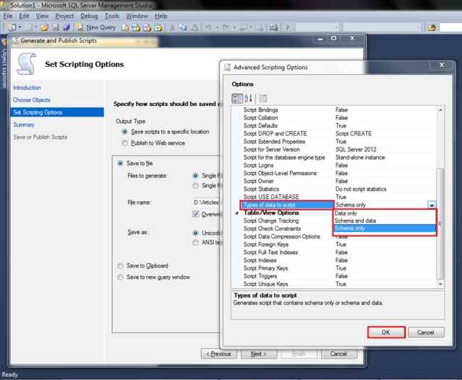 selecting our option for scripting options